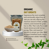 description of oat groats