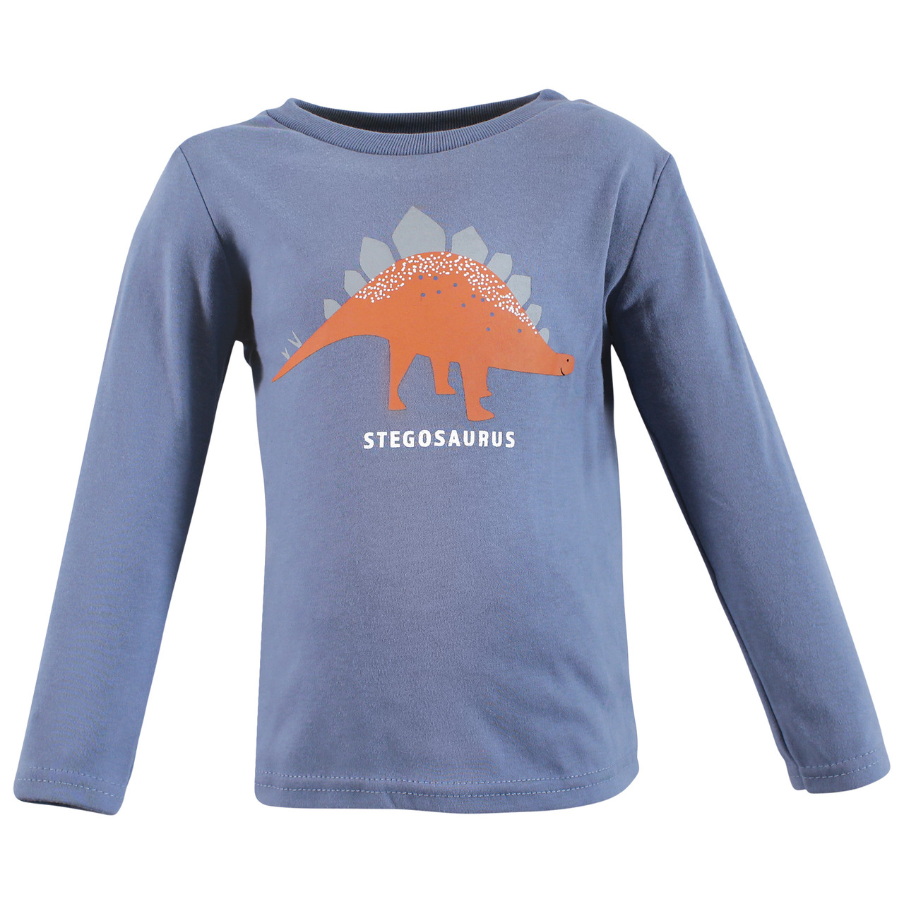 Long Sleeve Kids Boy Hoodies Crewneck Hooded Sweatshirts Dinosaur