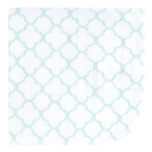 Hudson Baby Rayon from Bamboo Washcloth Bundle, Soft Pink Roses