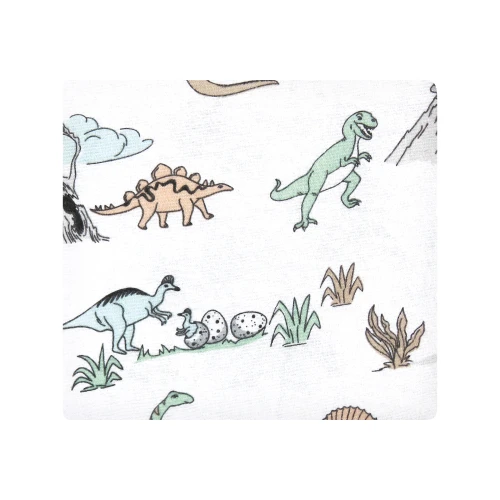 Hudson Baby Cotton Flannel Receiving Blankets, Neutral Dino World
