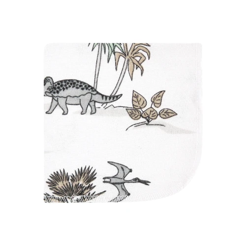 Hudson Baby Flannel Cotton Washcloths, Neutral Dino World 10-Pack