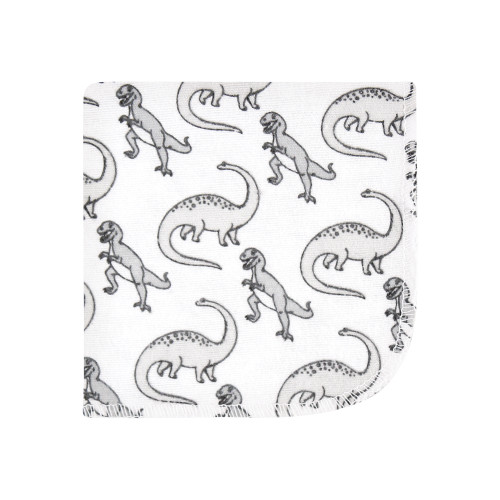 Hudson Baby Flannel Cotton Washcloths, Neutral Dino World 12-Pack