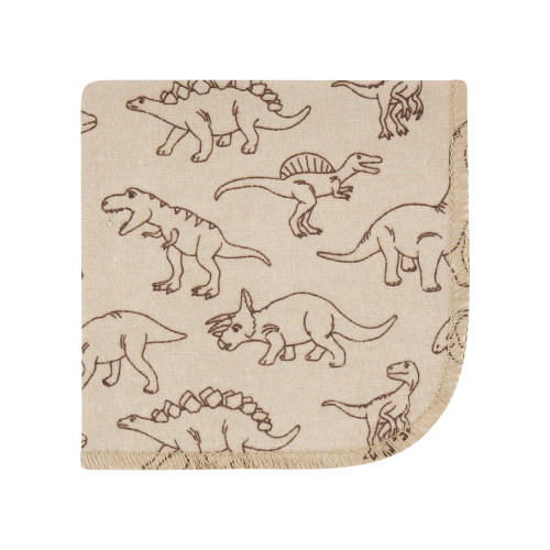 Hudson Baby Flannel Cotton Washcloths, Dinosaur Adventures 12Pk