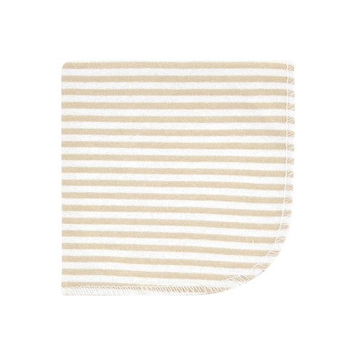 Hudson Baby Flannel Cotton Washcloths, Boy Dino World 10Pk