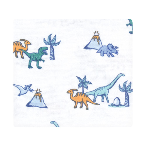 Hudson Baby Cotton Flannel Receiving Blankets Bundle, Pastel Dino