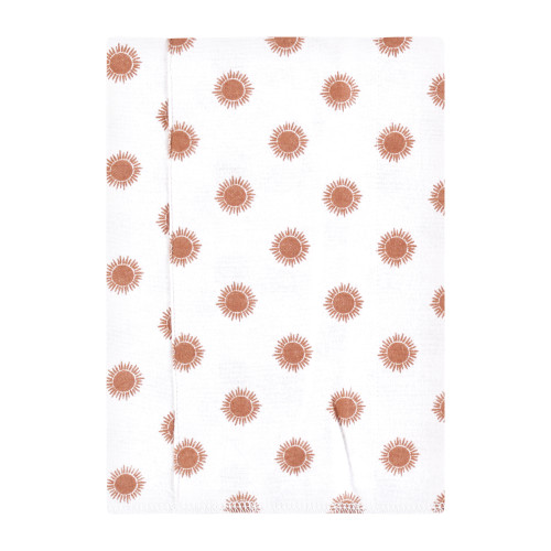 Hudson Baby Cotton Flannel Burp Cloths, Fun Desert 4 Pack