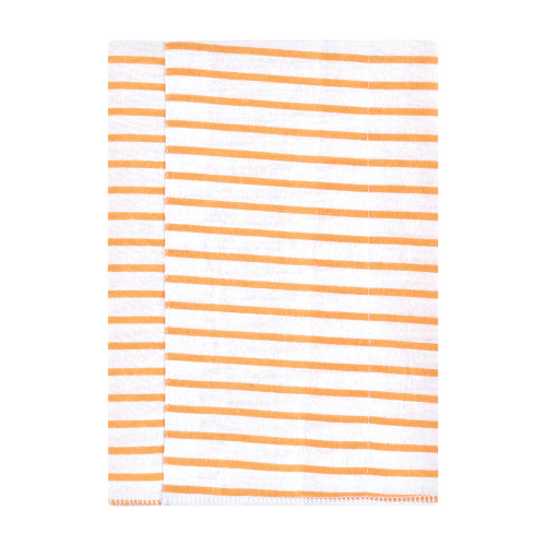 Hudson Baby Cotton Flannel Burp Cloths, Pastel Dino 4 Pack