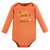 Hudson Baby Infant Girl Cotton Long-Sleeve Bodysuits, Fall Squirrel 7-Pack