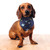 Luvable Friends Dog Reversible Pet Dog and Cat Bandana Bibs 2pk, Space Camo, One Size