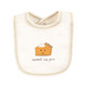 Touched by Nature Unisex Baby Organic Cotton Bibs, Fall Food, One Size