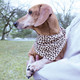 Luvable Friends Dog Reversible Pet Dog and Cat Bandana Bibs 2pk, Leopard Hearts, One Size