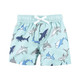 Hudson Baby Swim Rashguard Set, Looking Sharp Shark