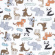 Hudson Baby Cotton Changing Pad Cover, Zoo Animals