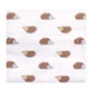 Hudson Baby Cotton Flannel Receiving Blankets Bundle, Hedgehog