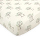 Touched by Nature Organic Cotton Crib Sheet, Birch Trees