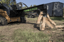Prime Attach Skid Steer Log Splitter (30 Ton Cylinder) 4 Way Wedge w/30