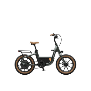 Segway MUXI Electric Bike – Olive Rush (AA.21.05.01.0001)