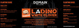 Domain Outdoors Ladino White Clover - Bulk Pail Wildlife Clover Food Plot Seed - 4 Acre