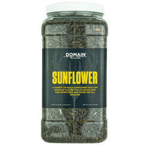 Domain Outdoors Sunflower Wildlife Food Plot Seed  Annual  1/4 Acre