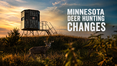 Minnesota Deer Hunting Rifle Rule Changes: Stearns County & Central MN Hunter Guide
