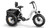 PUCKIPUPPY Husky White - Fat Tire Folding Electric Trike
