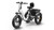 PUCKIPUPPY Husky White - Fat Tire Folding Electric Trike
