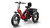 PUCKIPUPPY Husky Plus Light Red - Dual Battery Fat Tire Electric Trike