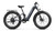 PUCKIPUPPY Boxer ST Metallic Gray - Fat Tire Step-Through Long Range Electric Bike
