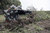 Prime Attach Skid Steer Attachment Dual Clam Grapple 74" Prime Attach Skid Steer Attachment Dual Clam Grapple 74"