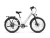 PUCKIPUPPY Poodle Pro White - Step-Through Commuter Electric Bike