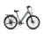 PUCKIPUPPY Poodle Pro Light Gray - Step-Through Commuter Electric Bike
