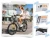PUCKIPUPPY Poodle Pro Light Gray - Step-Through Commuter Electric Bike