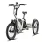 Lectric XP Foldable Trike2 750 Step-Thru Ebike - Stratus White