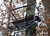 Trophy Treestands Highview MaxGrip Double 18' Two-Person Ladder Stand