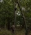 Big Game Warrior DXT 17' One-Person Ladder Stand