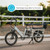 Lectric Xpedition2 Step-Thru Long-Range Dual-Battery Ebike - Stratus White