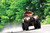 Argo Xplorer XR 700 EPS ATV - Red Argo Xplorer XR 700 EPS ATV - Red