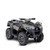 Argo Xplorer XR 700 LE ATV - Gray Argo Xplorer XR 700 LE ATV - Gray