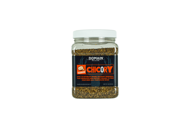 Domain Outdoors Pounder - Chicory Wildlife Food Plot Seed  Perennial  1/8 Acre