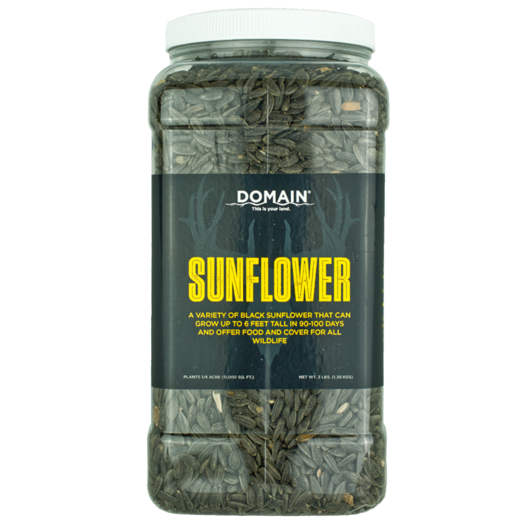 Domain Outdoors Sunflower Wildlife Food Plot Seed  Annual  1/4 Acre