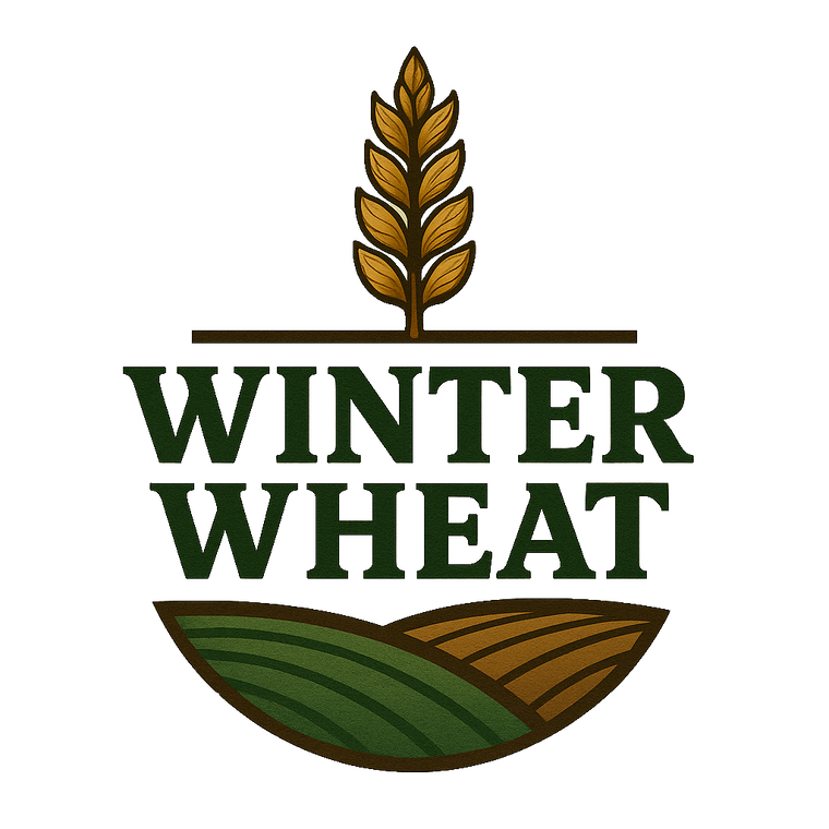 Domain Outdoors Winter Wheat Wildlife Grain Food Plot Seed - Cold Season - 1/2 Acre