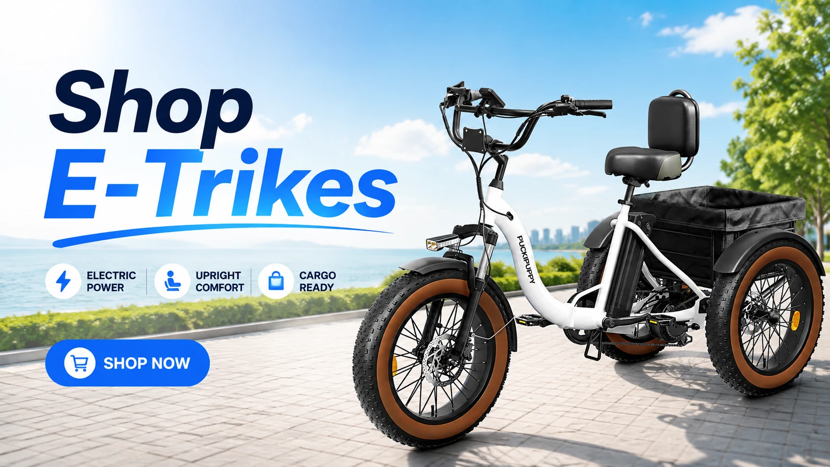 Shop electric trikes for sale at OUTDOORICA in Central Minnesota