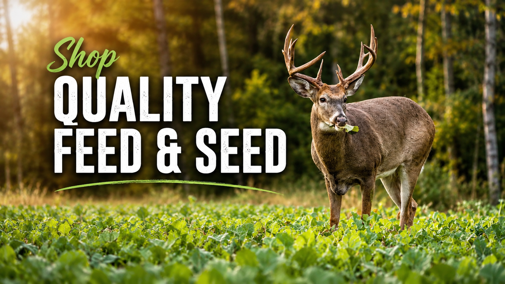 Shop food plot feed and seed at OUTDOORICA