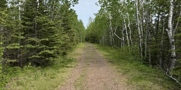 Maui Fat Bronte for trails: available at Outdoorica in Minnesota