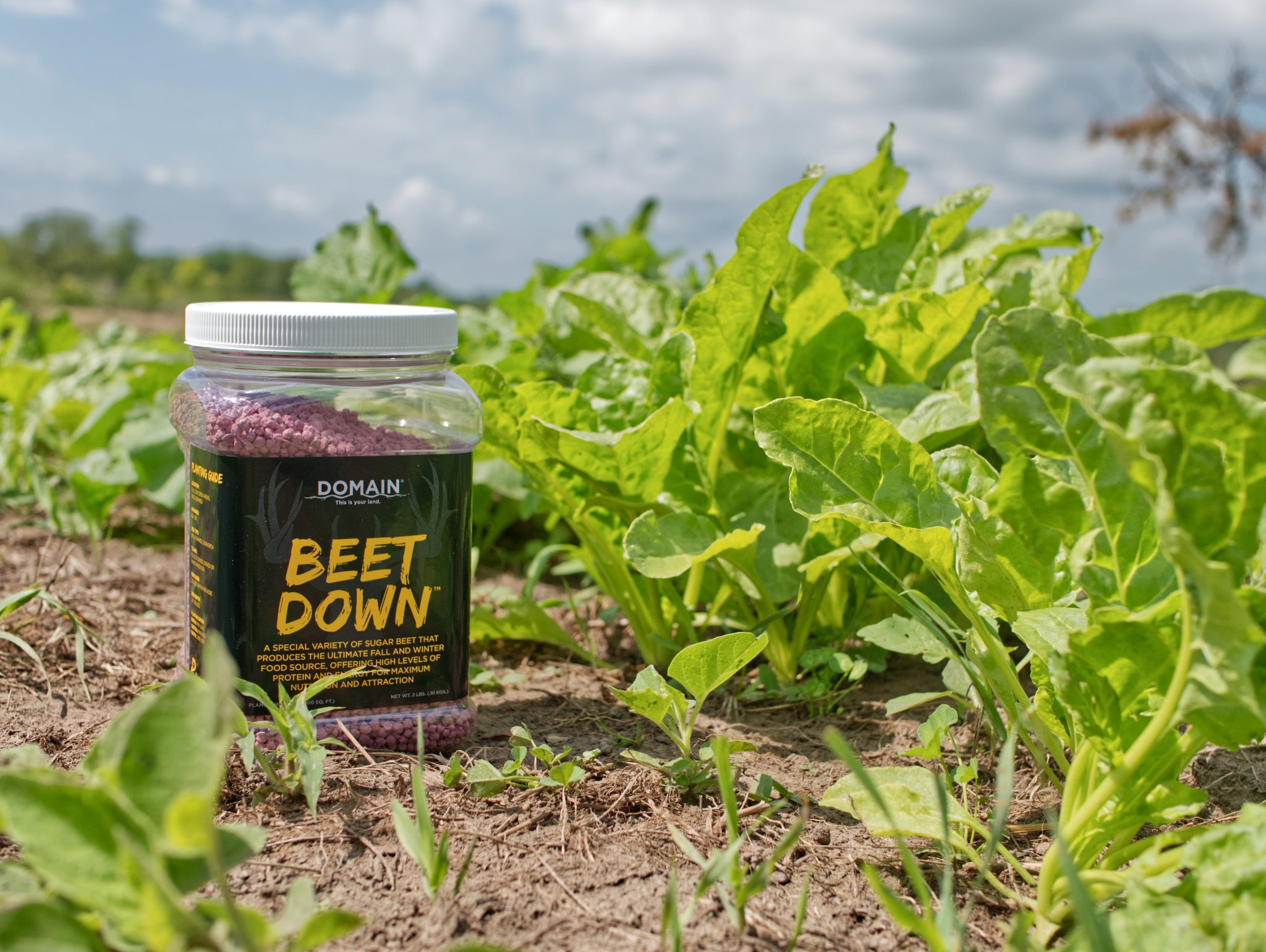 Domain Outdoors Beet Down Deer Mix - Thumbnail 5