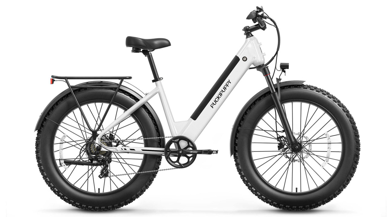 PuckiPuppy Samoyed e-bike at OUTDOORICA