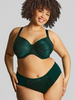 Illuminate Full Cup Bra in Dark Green