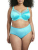 Keira Brief in Aqua FINAL SALE NORMALLY $22