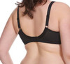 Morgan Stretch Lace Banded Underwire Bra in Ebony (EBY)