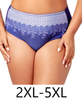 Printed Lace Panty in Blue Pinstripe